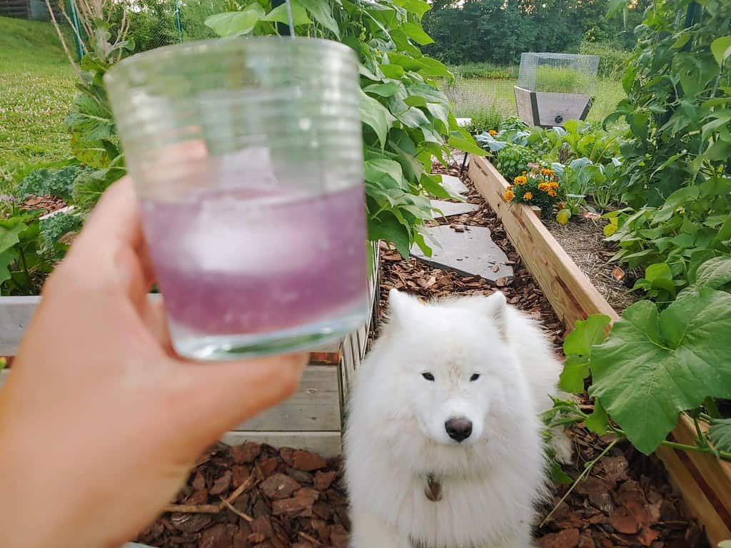 How to Make it