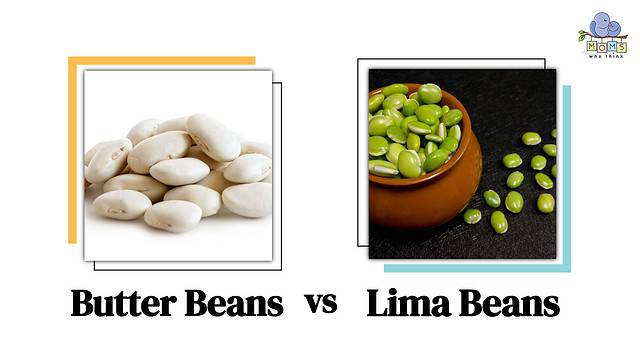Butter Beans vs Lima Beans