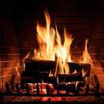 Comfortable Ambiance