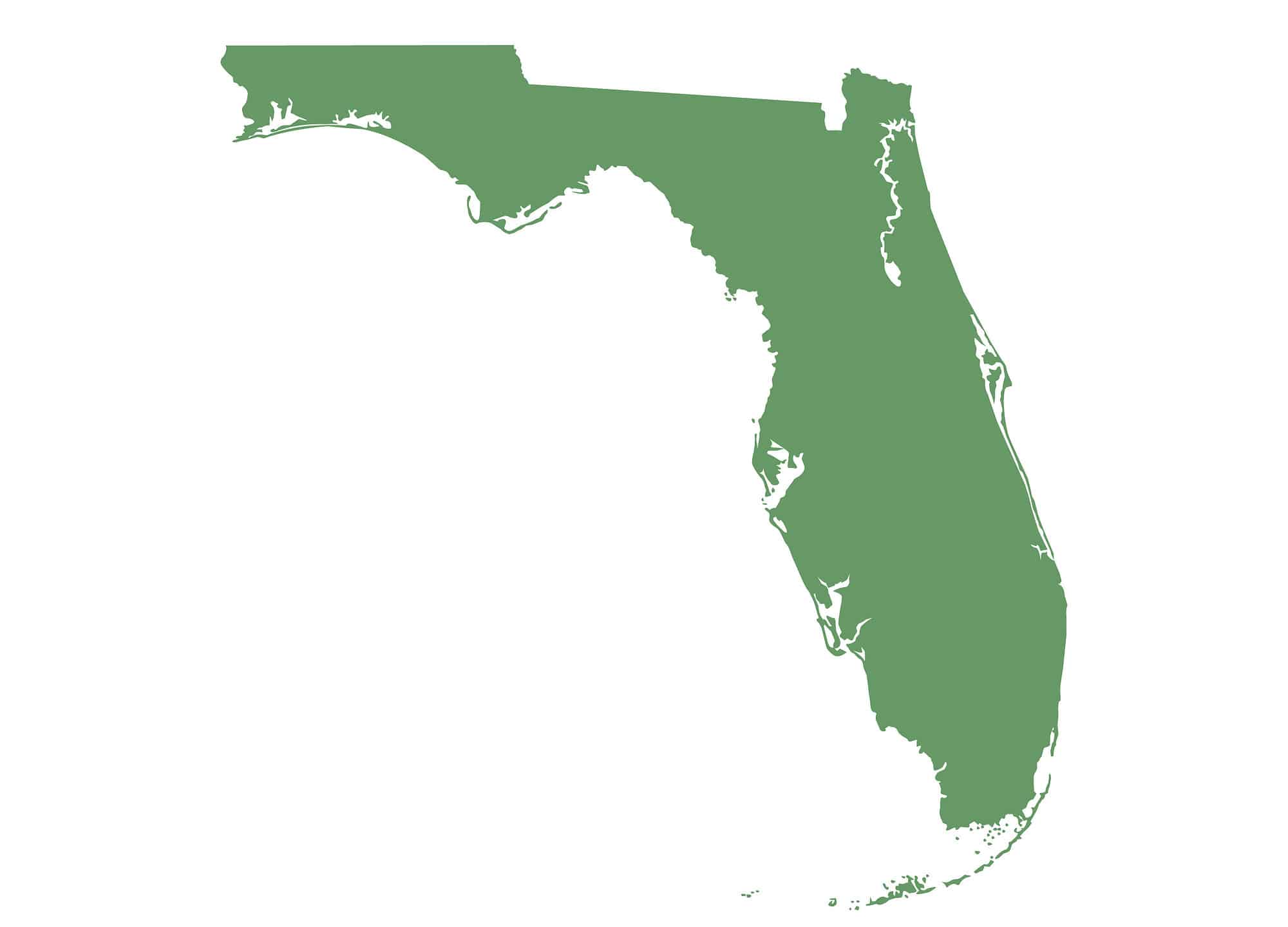 Lutz, Florida, Opened January 7, 2025