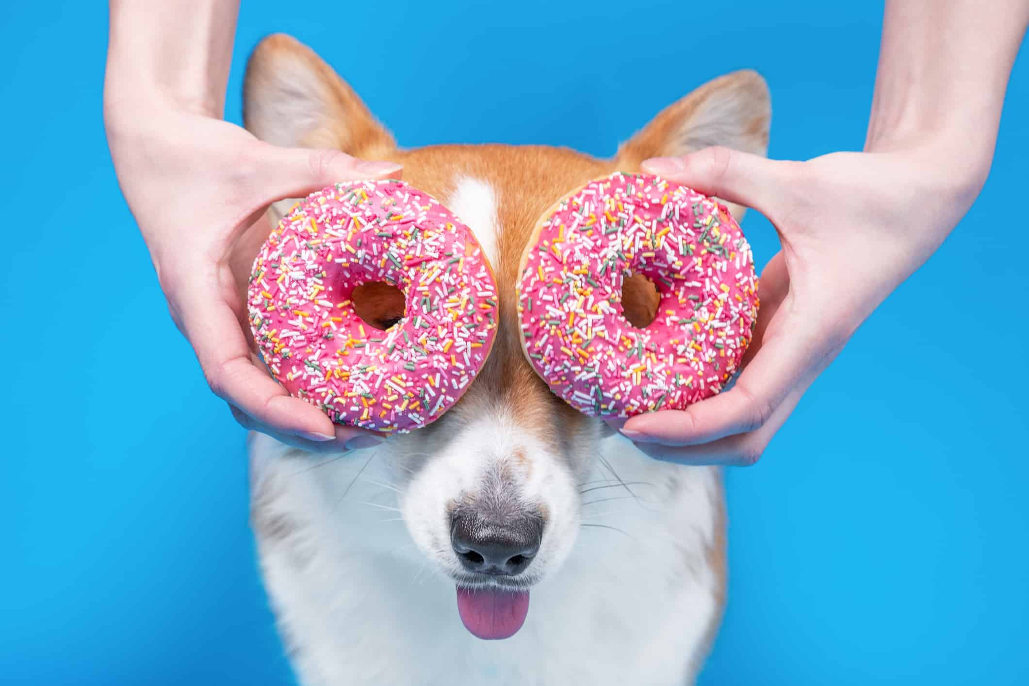 Pinkbox Donuts