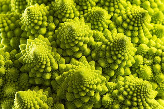 Vegetables. Detail of the romanesque cauliflower.