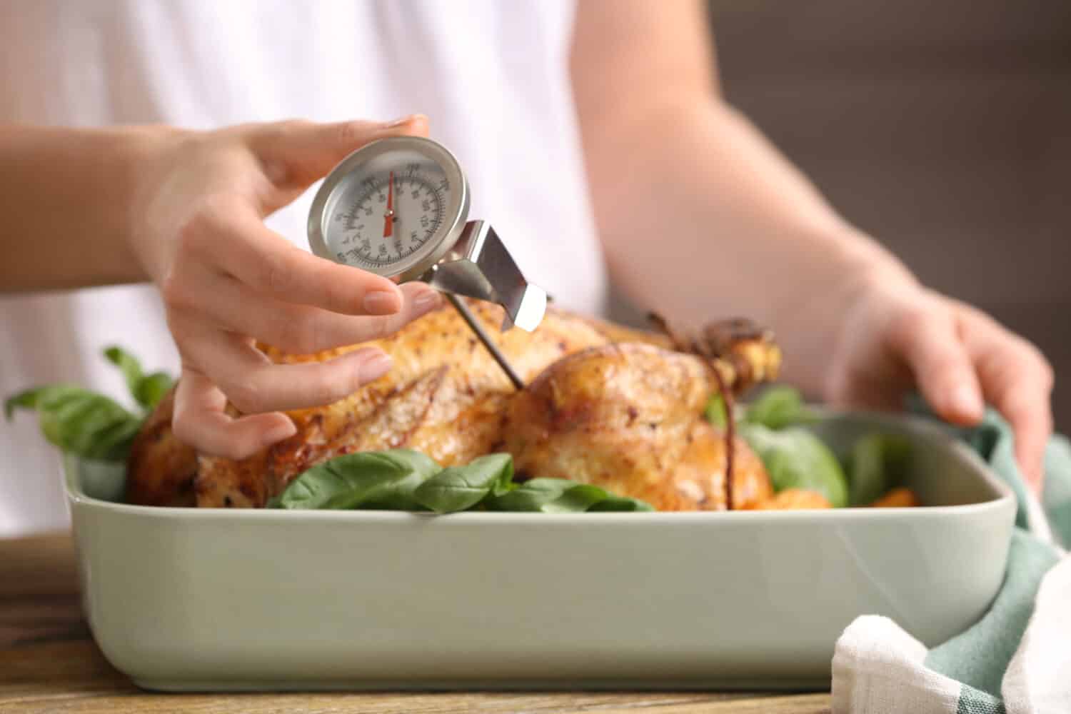Young woman measuring temperature of whole roasted turkey with meat thermometer