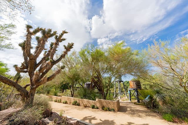 Botanical,Garden,Of,Springs,Preserve,At,Las,Vegas,,Nevada