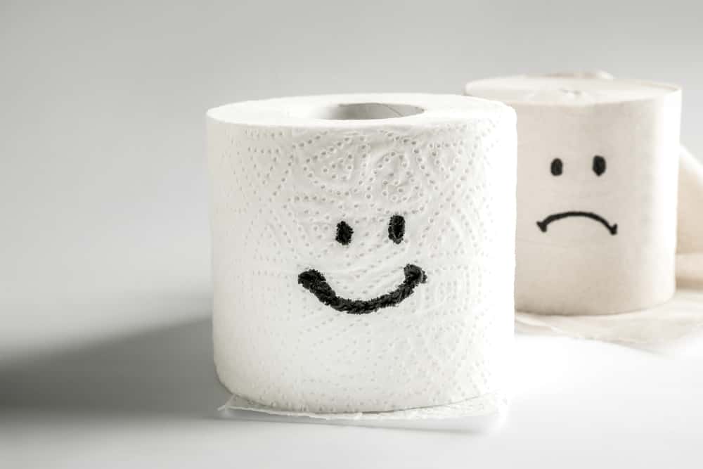 Ultra Soft Toilet Paper - Charmin Mega