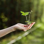 Considers Environmental Impact