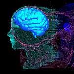 Learn to Retain Information