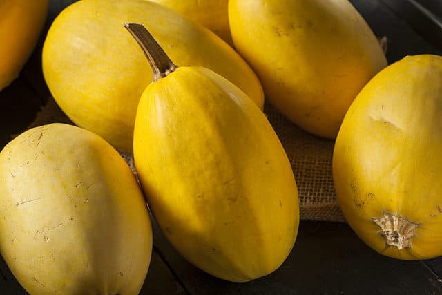 Spaghetti_Squash_2