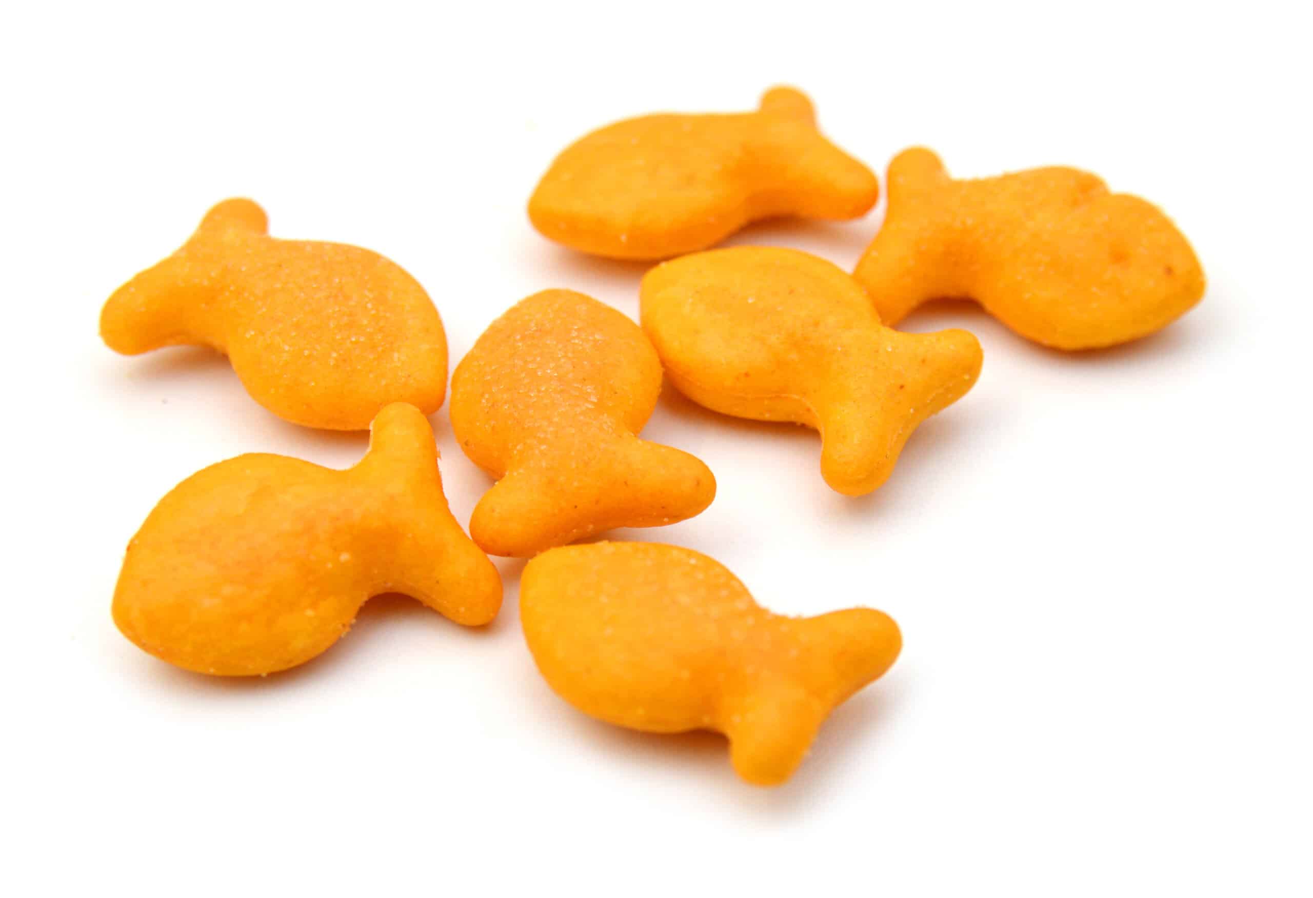 Goldfish
